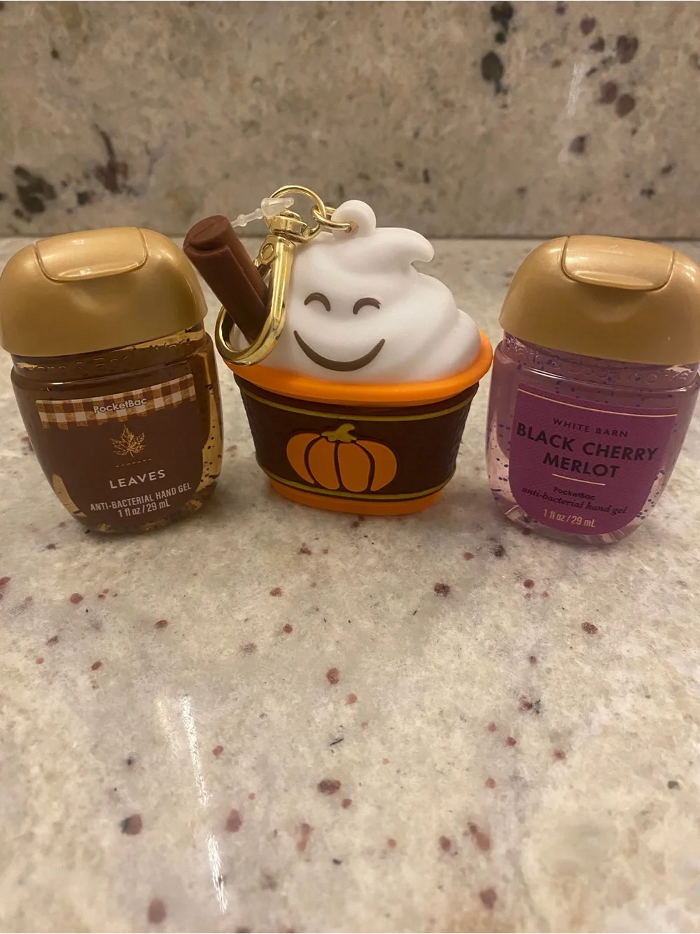 Bath & Body Works set - pumpkin latte hand gel holder bag Cham & 2 hand gels NWT